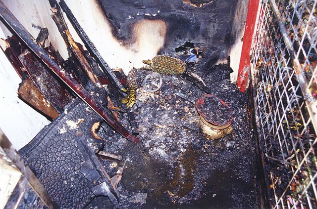 burned debris